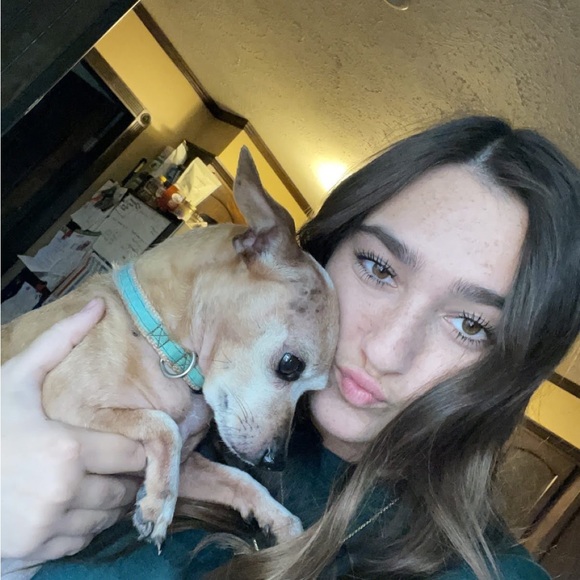 Meet your Posher, Autumn - Picture 10 of 16